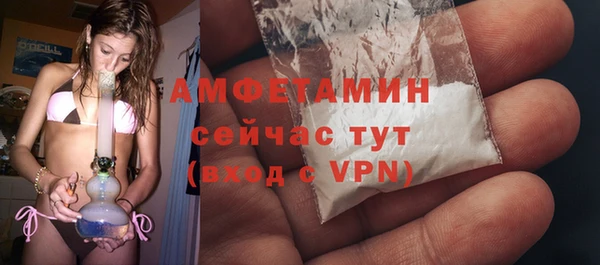 ПСИЛОЦИБИНОВЫЕ ГРИБЫ Горняк