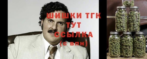 стафф Горнозаводск