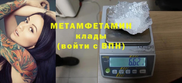 ПСИЛОЦИБИНОВЫЕ ГРИБЫ Горняк