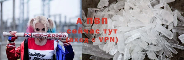 стафф Горнозаводск