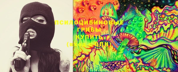 ПСИЛОЦИБИНОВЫЕ ГРИБЫ Горняк