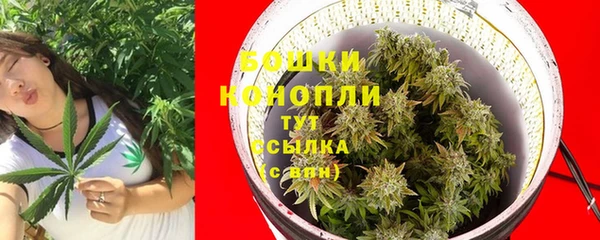 ПСИЛОЦИБИНОВЫЕ ГРИБЫ Горняк