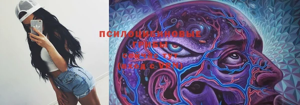 марки lsd Горно-Алтайск