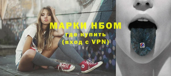 ПСИЛОЦИБИНОВЫЕ ГРИБЫ Горняк